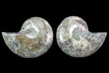 Cut & Polished Ammonite (Anapuzosia?) Pair - Madagascar #88016-1
